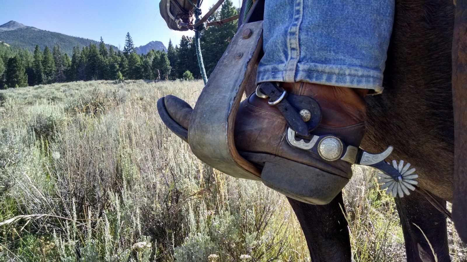 Your Guide To Cowboy Boot Heel Types | Blog | Western Boot Barn